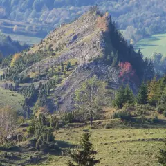 Rezerwat Biała Woda: Pieniny dla każdego? Odkryj szlak i bacówki!