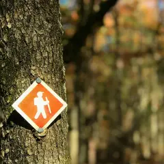 Niebieski szlak PTTK: Co oznacza? Obalamy mity o trudności!