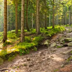 Szklarska Poręba: Szlaki turystyczne dla rodzin i ambitnych. Wybierz swój!