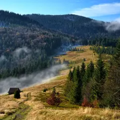 Rabka-Zdrój: Twoje górskie wrota do Gorców i Beskidu Wyspowego
