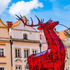 Jelenia Góra: Twoja baza w Karkonosze! Co zobaczyć w mieście i okolicy?