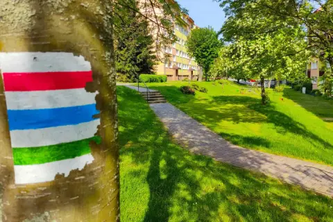 Kolorowy znak szlaku turystycznego na drzewie, ścieżka i zielony trawnik.