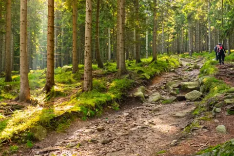 Szklarska Poręba: Szlaki turystyczne dla rodzin i ambitnych. Wybierz swój!