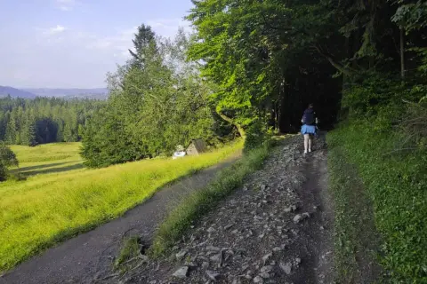 Bacówka pod Reglami w Kościelisku: Jak zaplanować idealną wizytę?