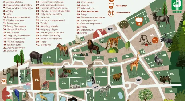 Kraków z dziećmi: Niezapomniane atrakcje i porady dla rodzin!
