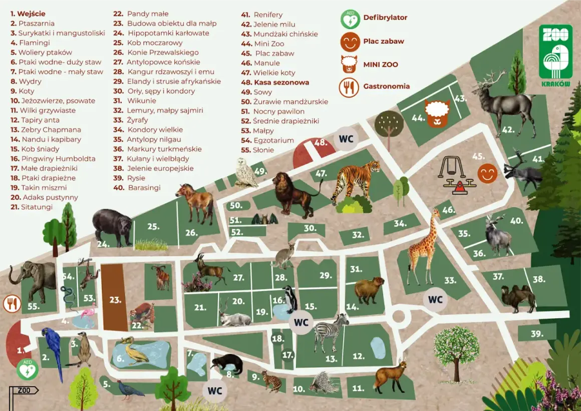 Kraków z dziećmi: Niezapomniane atrakcje i porady dla rodzin!