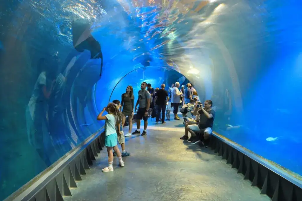 Wrocław atrakcje dla dzieci Afrykarium Hydropolis Kolejkowo