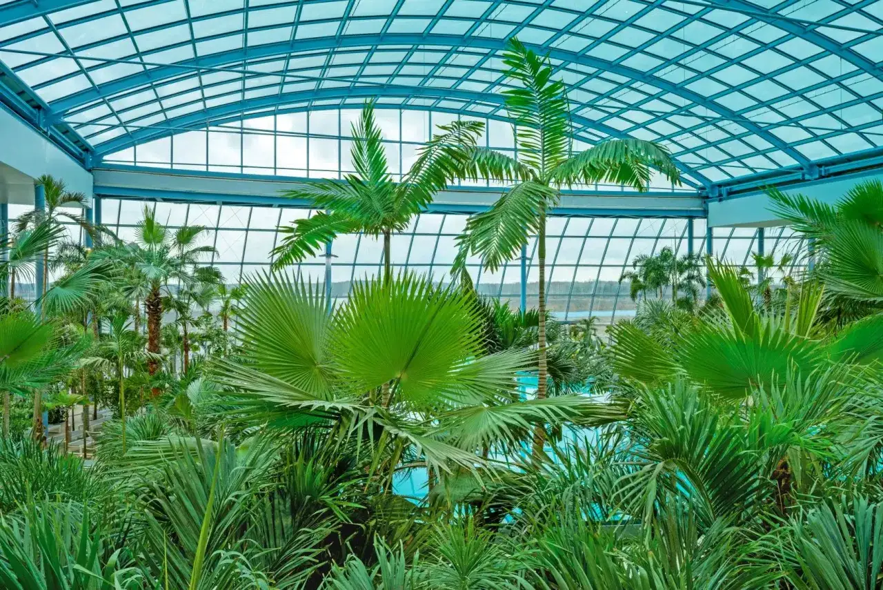 Suntago Wodny Świat baseny z palmami