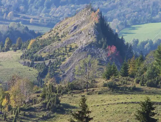 Rezerwat Biała Woda: Pieniny dla każdego? Odkryj szlak i bacówki!